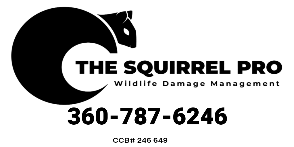 The Squirrel Pro Logo