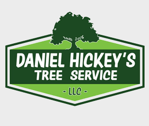 Daniel Hickey's Tree Service LLC Logo