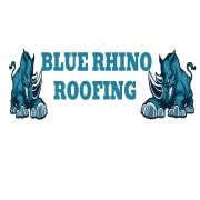 Blue Rhino Roofing LLC Logo