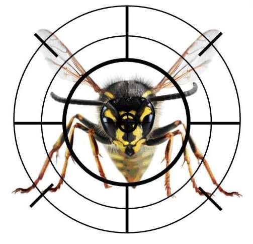 Ontiveros Pest Solution Logo