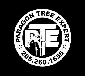 Paragon Tree Expert Logo