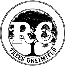 RC Services Unlimited Logo