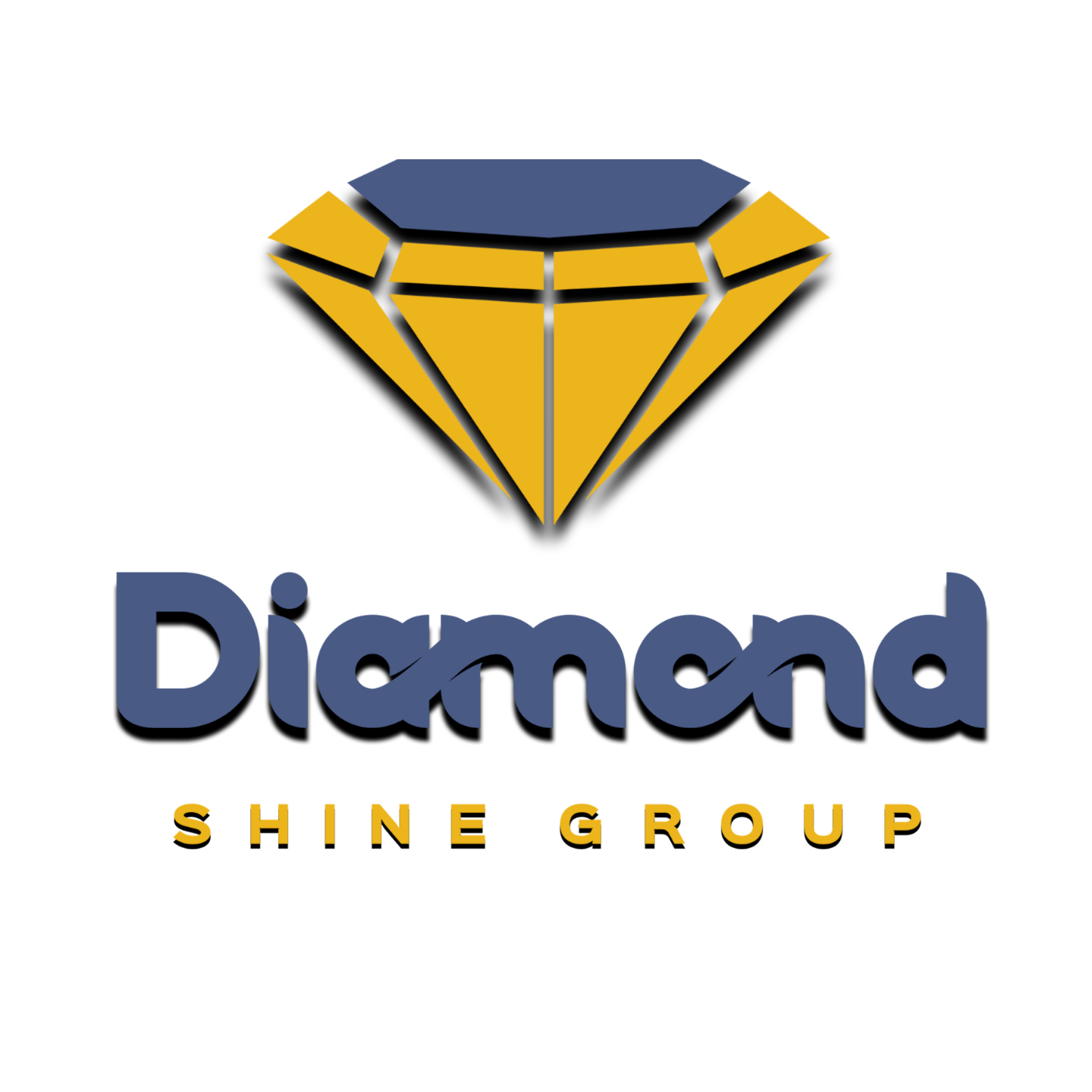 Diamond Shine Group LLC Logo