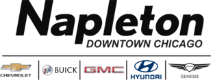 Napleton Downtown Hyundai Logo