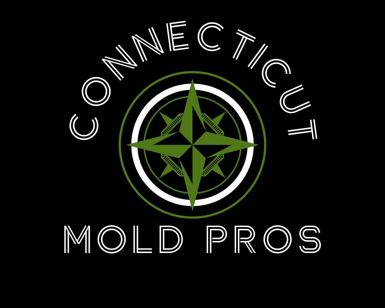Connecticut Mold Pros Logo