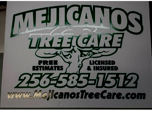 Mejicanos Tree Care Logo