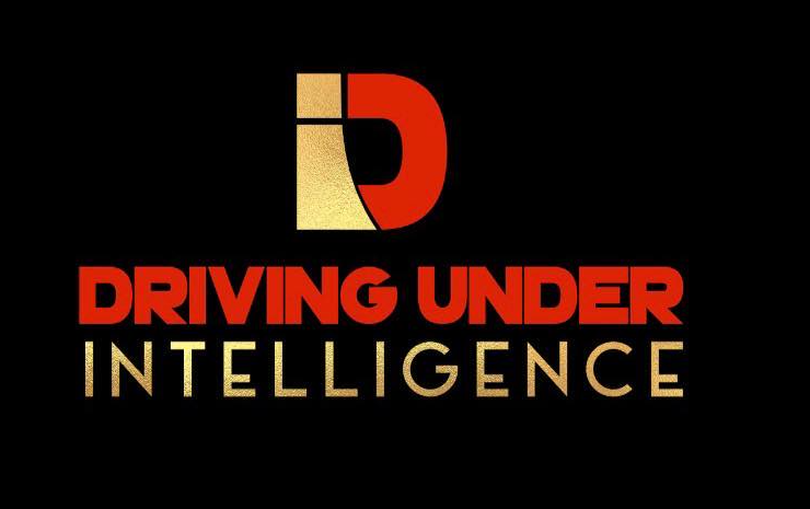 Driving Under Intelligence DUI & Defensive Driving School, LLC Logo