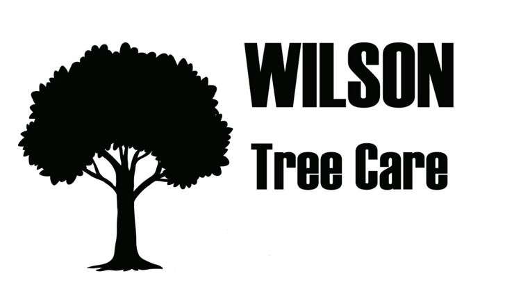 Wilson Tree Care Logo