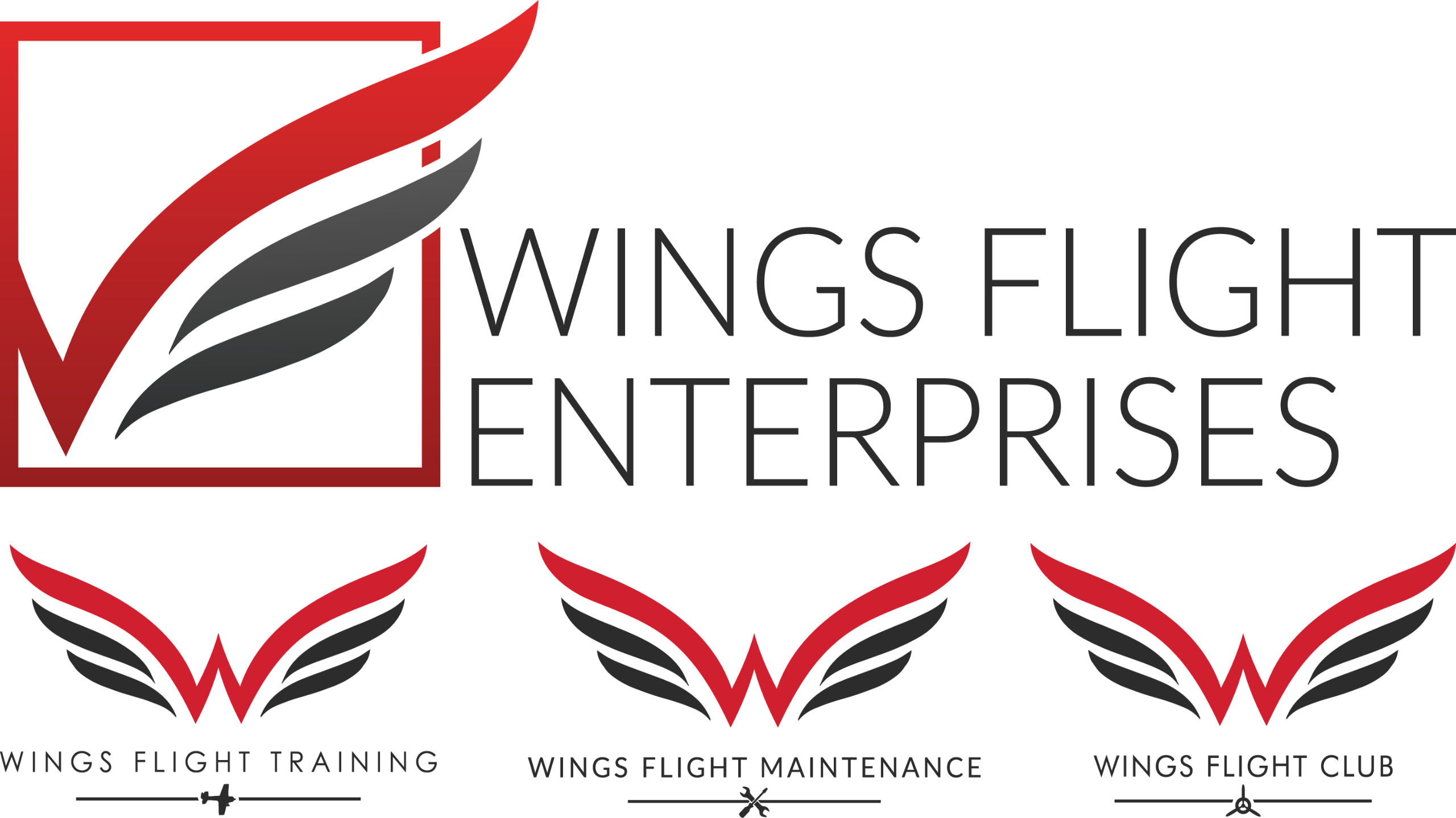 Wings Flight Enterprises Inc Logo