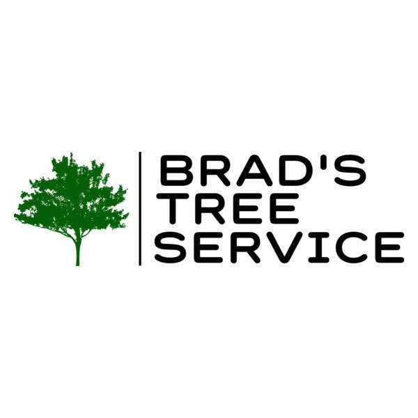 Brad's Tree Service Ltd Logo