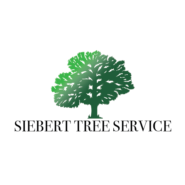 Siebert and Son's Enterprise, LLC Logo