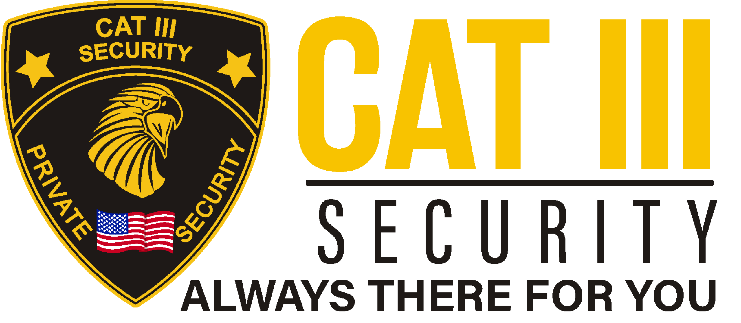 CAT III Security Logo