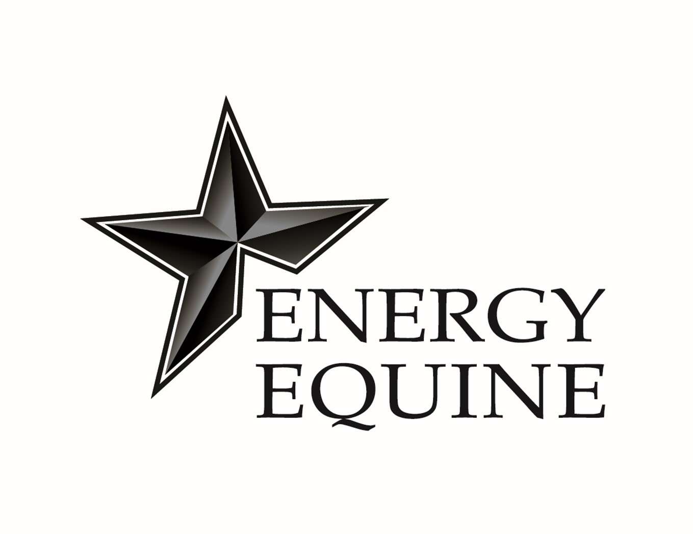 Energy Equine Logo