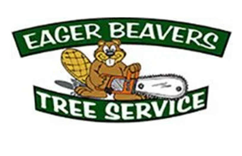 Eager Beavers Tree Service Logo