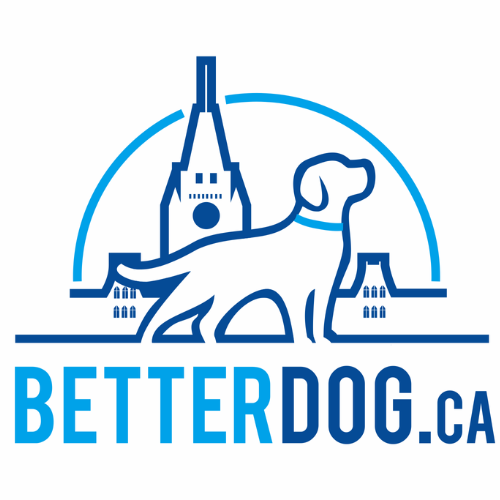 Better Dog Ottawa Logo
