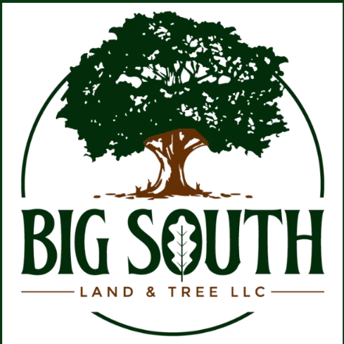 Big South Land  & Tree Logo