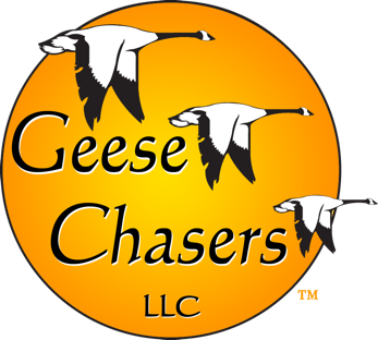 Geese Chasers, LLC Logo