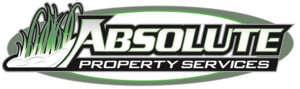 Absolute Property Services Logo