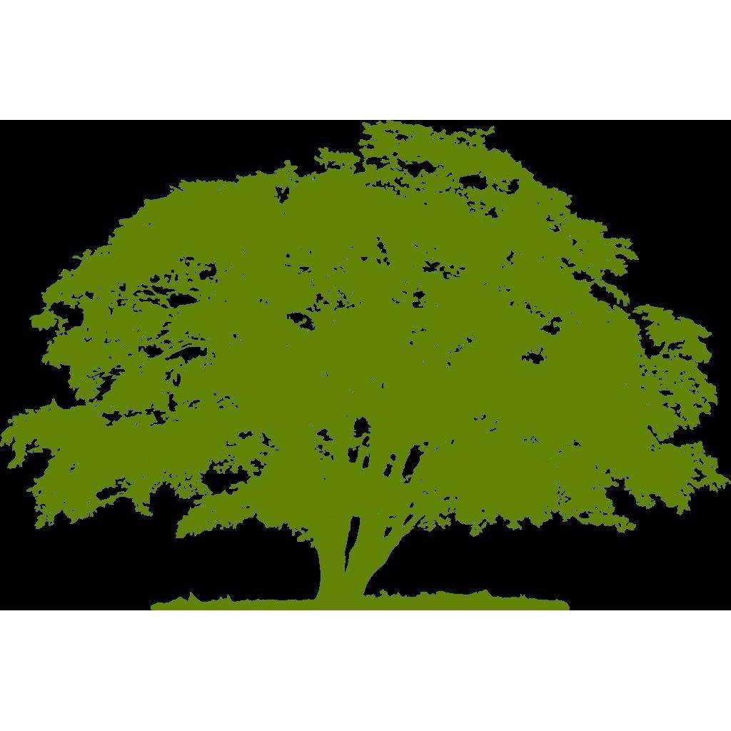 Childress Complete Tree Service Logo