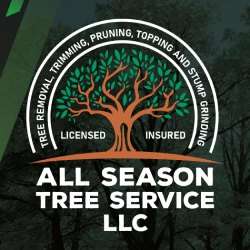 All Season Tree Service, LLC  Logo