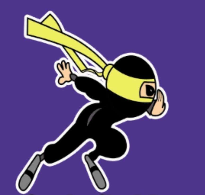 V.P. Ninja Lawn Service & Junk Removal Logo