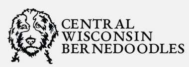 Central Wisconsin Bernedoodles LLC Logo