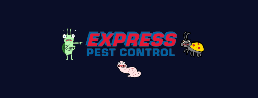 Express Pest Control Logo