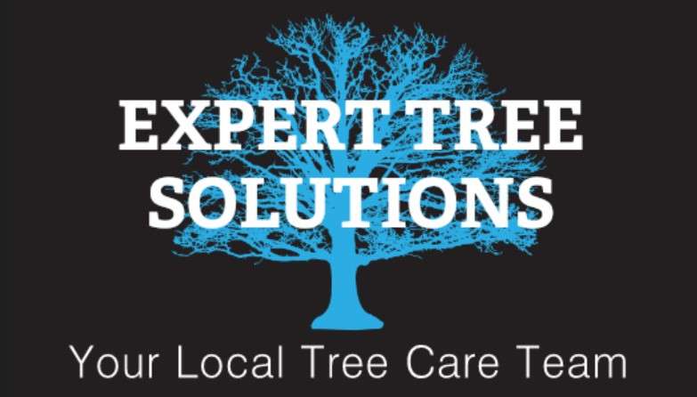 Expert Tree Solutions, LLC. Logo