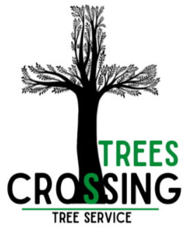 Tree Crossing, LLC Logo