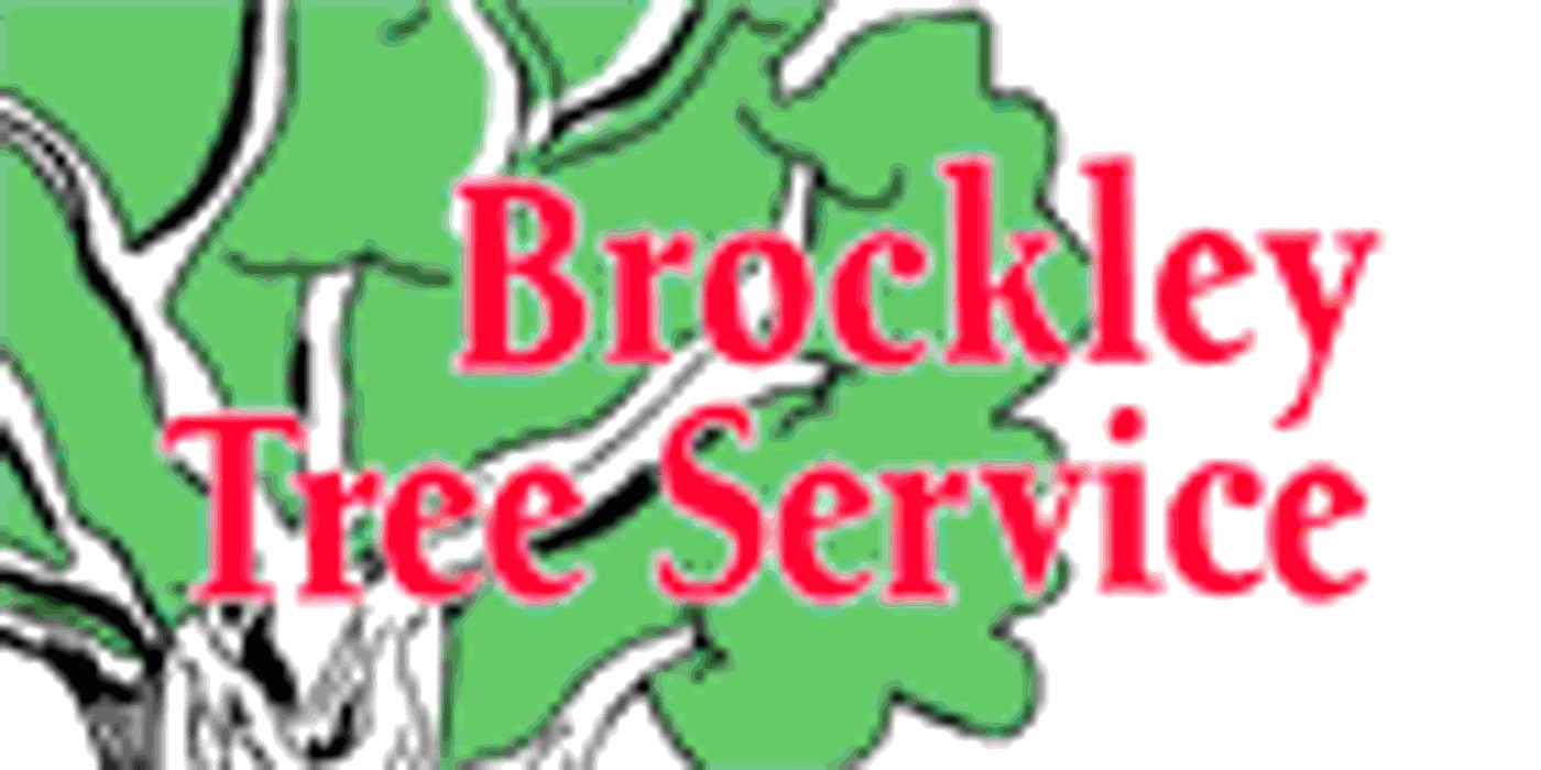 Brockley Tree Service Logo