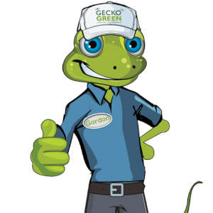 Gecko Green Logo