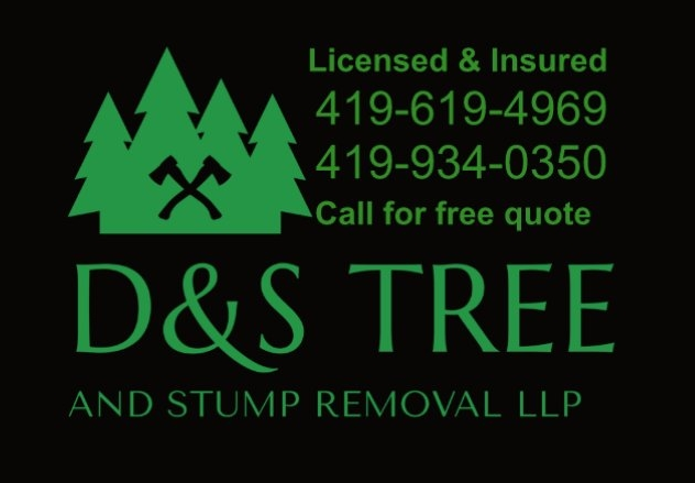 D&S Tree and Stump Removal LLP Logo