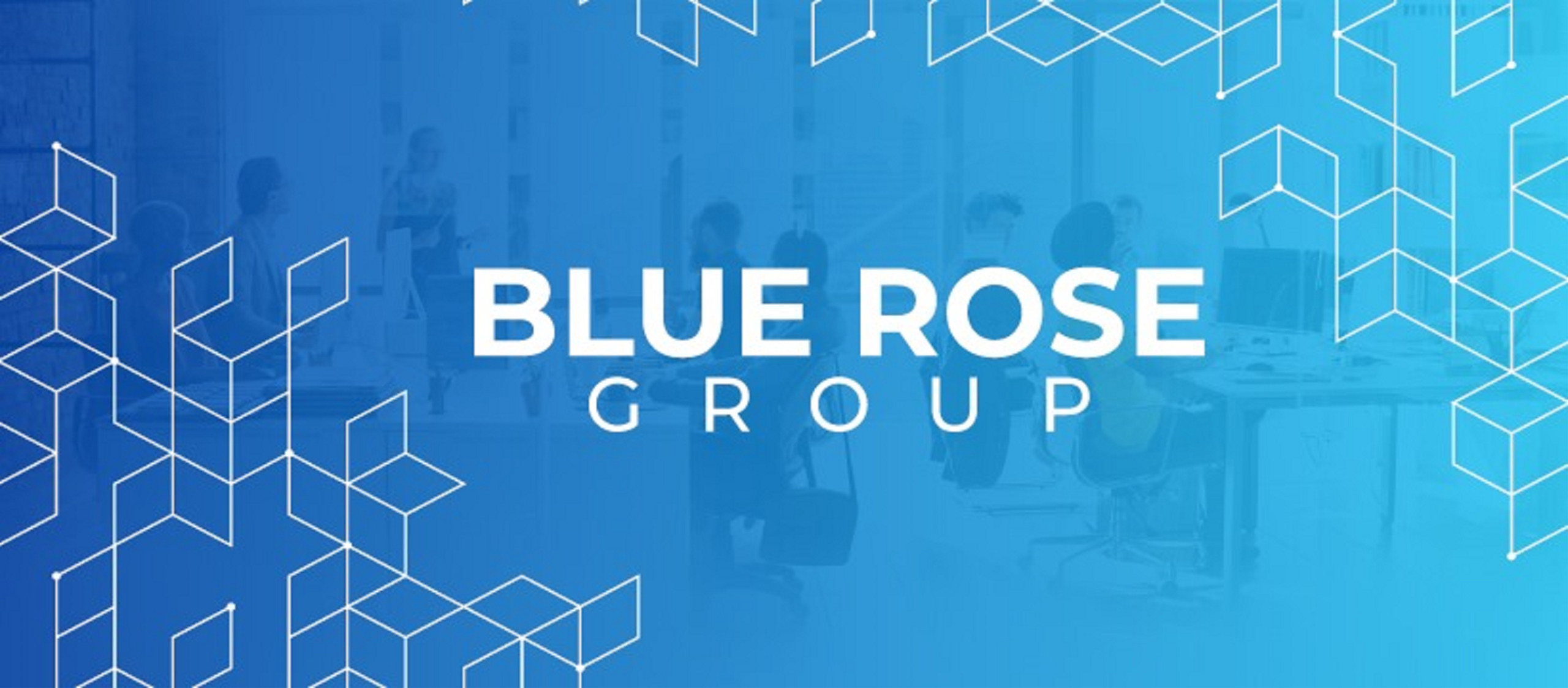 Blue Rose Group, Inc Logo
