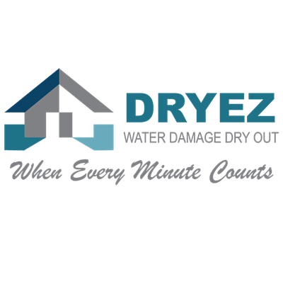 Dryez Logo