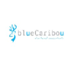 blueCaribou Chartered Accountants Logo