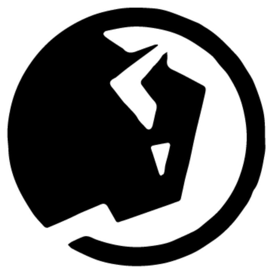 Bison Renovations, LLC Logo