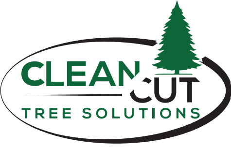 Clean Cut Tree Solutions LLC Logo