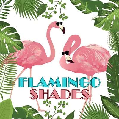 Flamingo Shades Logo