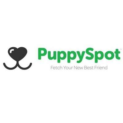 PuppySpot Group, LLC Logo