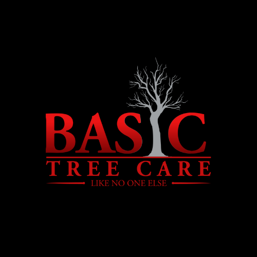 Basic Tree Care Logo