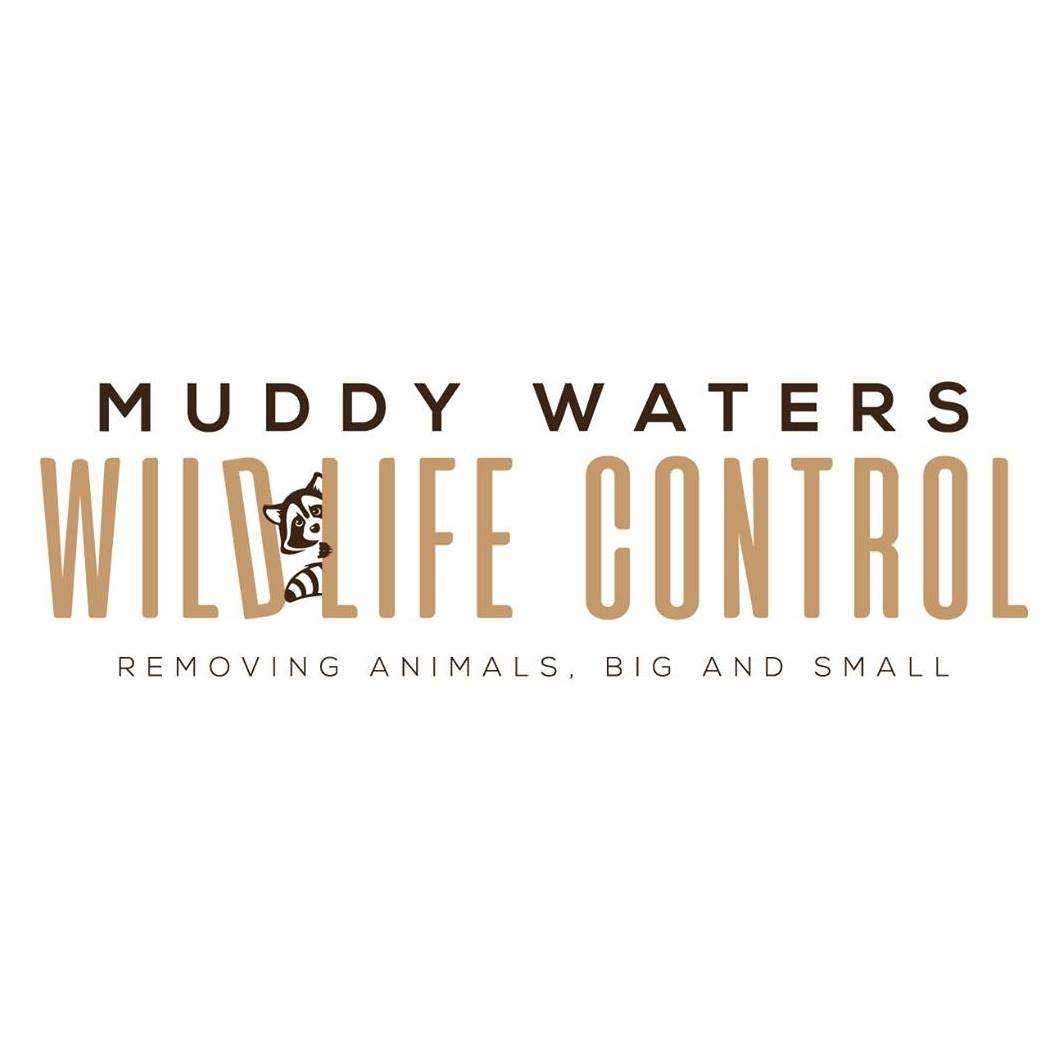 Muddy Waters Wildlife Control Logo