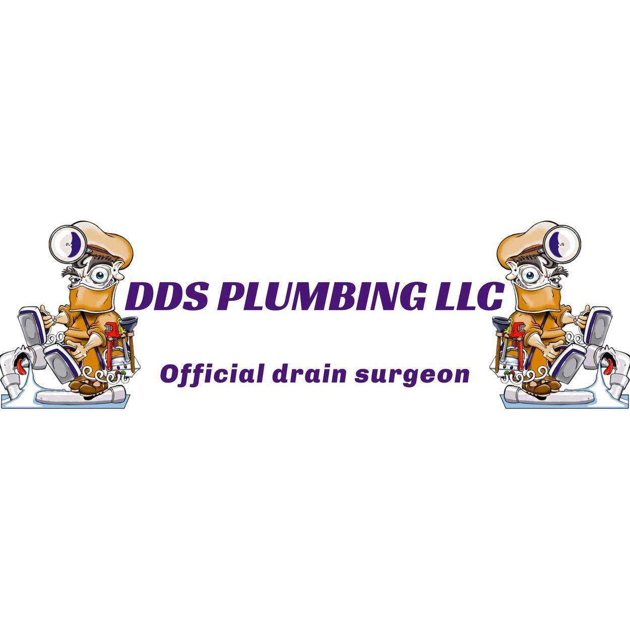 DDS Plumbing LLC Logo