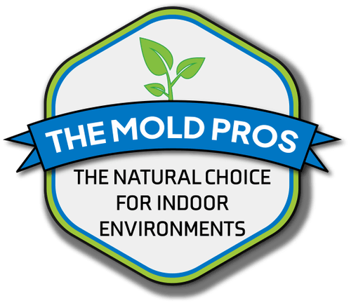 The Mold Pros of Arizona Logo