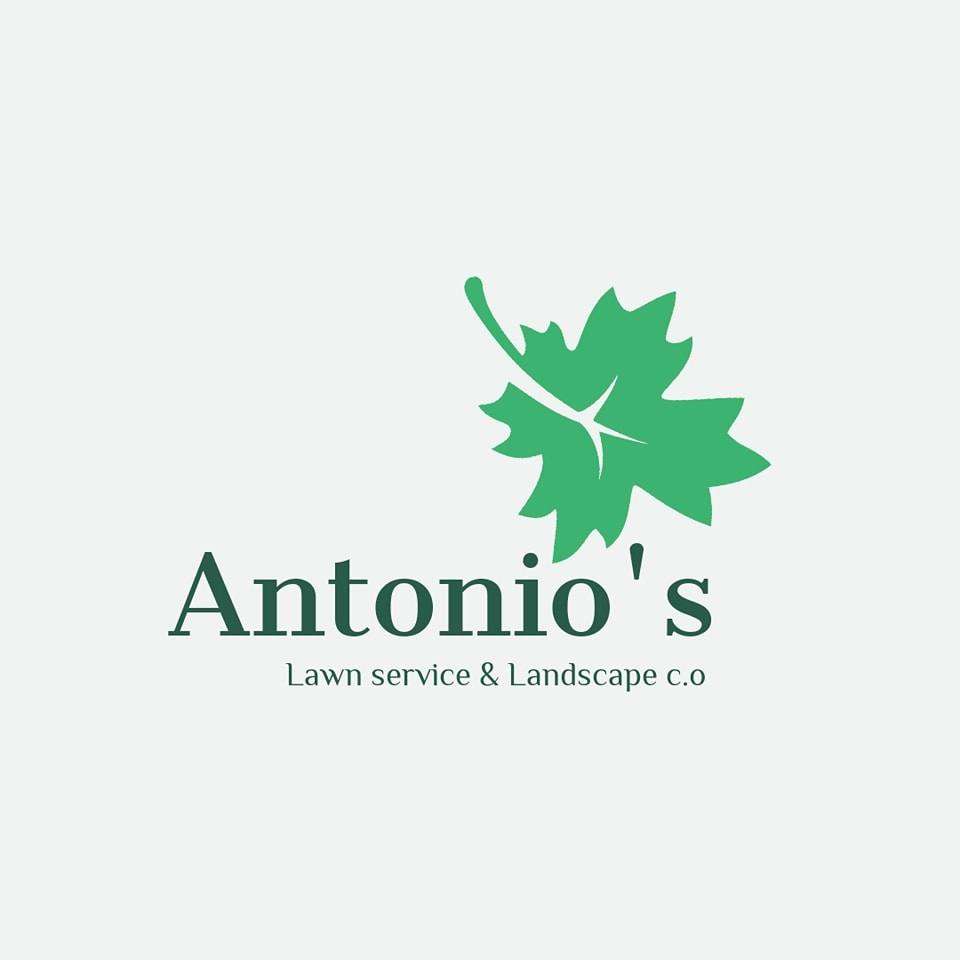 Antonio's Lawn and Landscaping Logo