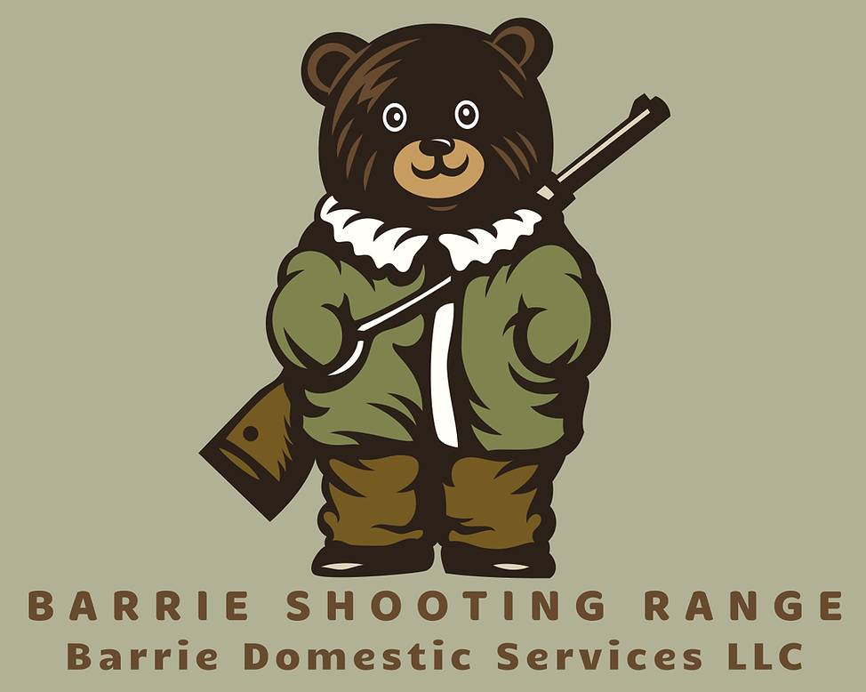 Barrie Domestic Services LLC Logo