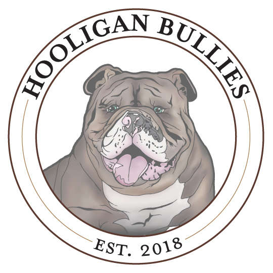Hooligan Bullies Logo