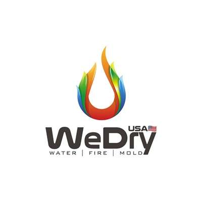 WeDry USA Logo