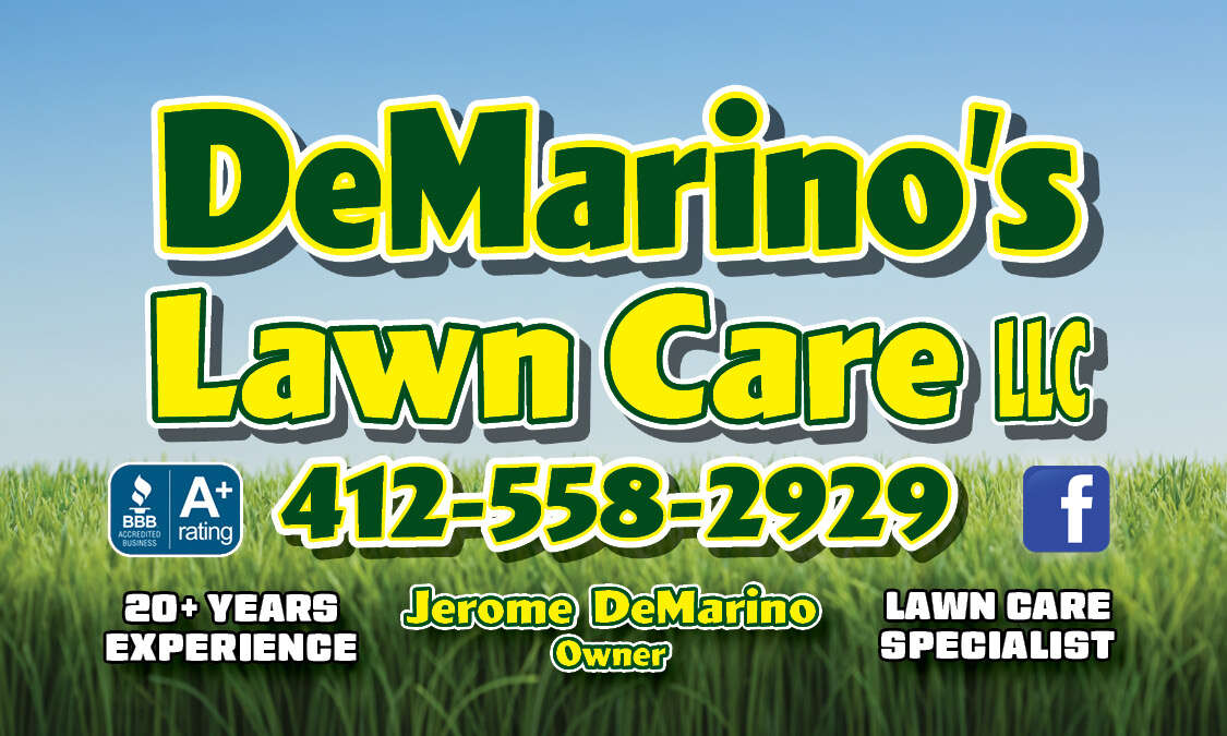 DeMarino's Lawn Care LLC  Logo