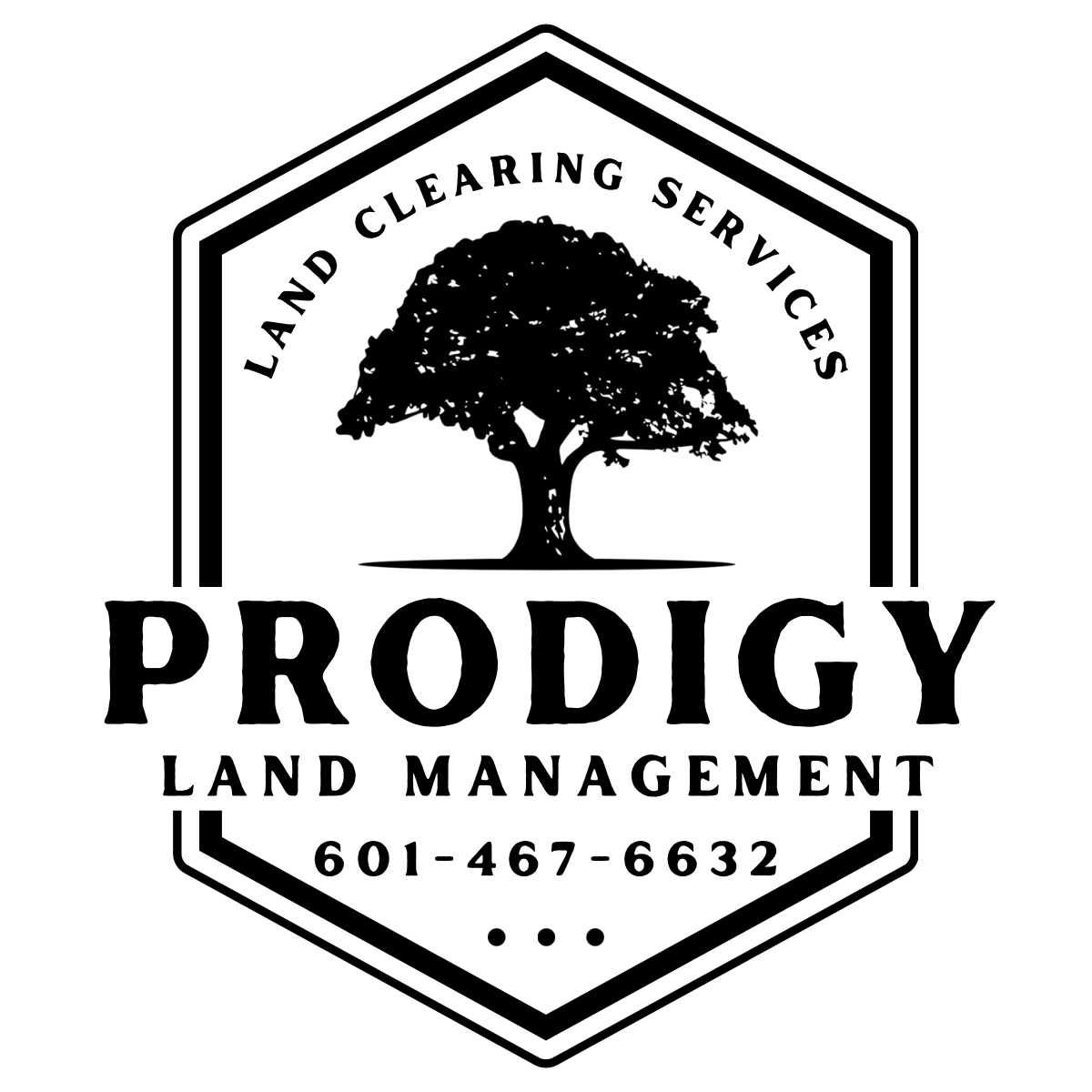 Prodigy Land Management LLC Logo