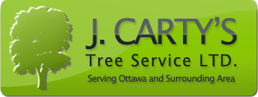 J. Carty's Tree Service Ltd. Logo